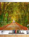 Fall Greenery and Road Straight Ahead - Forest Print on Natural Pine Wood