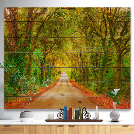 Fall Greenery and Road Straight Ahead - Forest Print on Natural Pine Wood