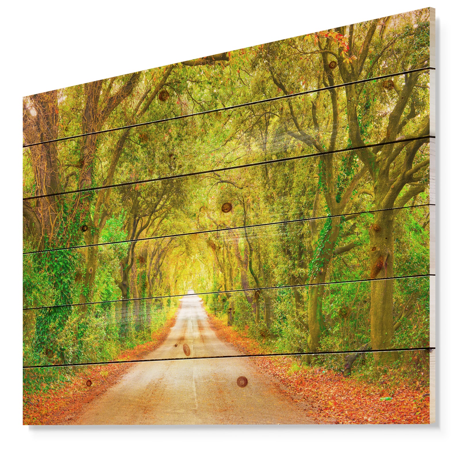 Fall Greenery and Road Straight Ahead - Forest Print on Natural Pine Wood
