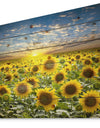 Field of Blooming Sunflowers - Flower Print on Natural Pine Wood