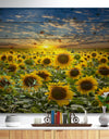 Field of Blooming Sunflowers - Flower Print on Natural Pine Wood