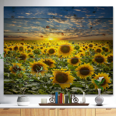 Field of Blooming Sunflowers - Flower Print on Natural Pine Wood