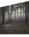 Dark Spooky Misty Wild Forest - Forest Print on Natural Pine Wood