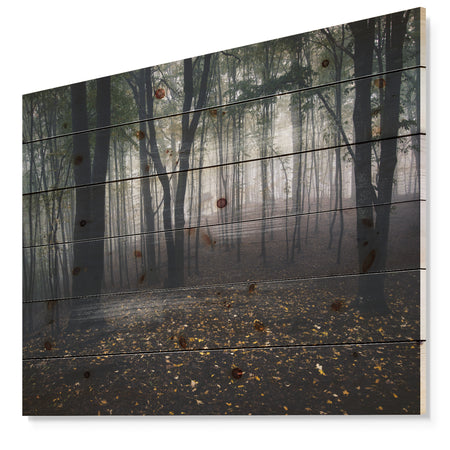 Dark Spooky Misty Wild Forest - Forest Print on Natural Pine Wood