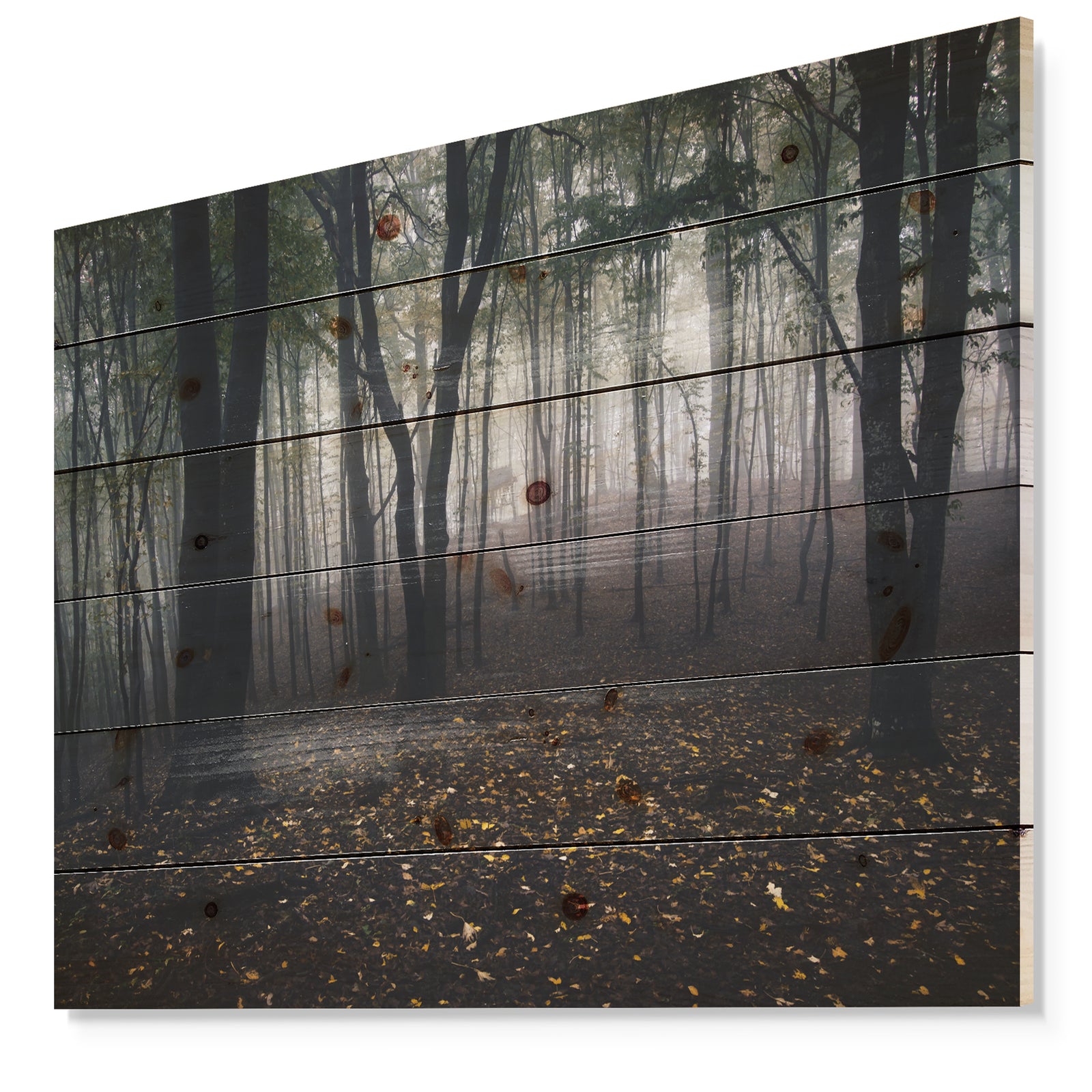 Dark Spooky Misty Wild Forest - Forest Print on Natural Pine Wood