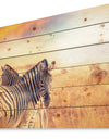 Zebras Herd in Field At Sunset - African Print on Natural Pine Wood