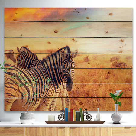 Zebras Herd in Field At Sunset - African Print on Natural Pine Wood
