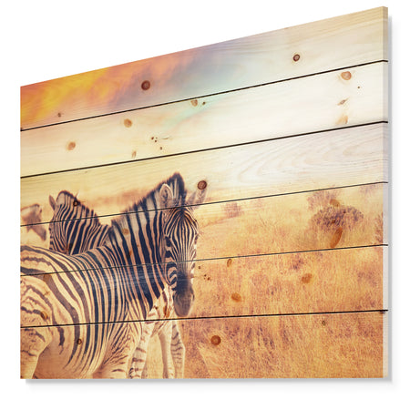 Zebras Herd in Field At Sunset - African Print on Natural Pine Wood