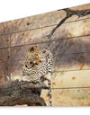 Leopard Sitting on Tree Trunk - African Print on Natural Pine Wood