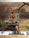 Leopard Sitting on Tree Trunk - African Print on Natural Pine Wood