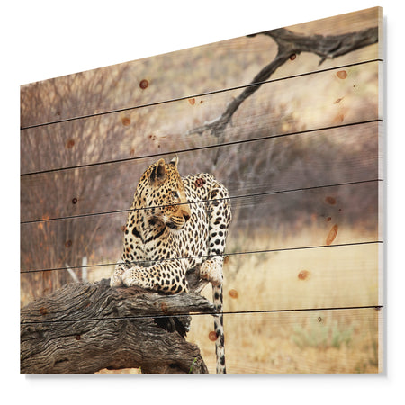 Leopard Sitting on Tree Trunk - African Print on Natural Pine Wood