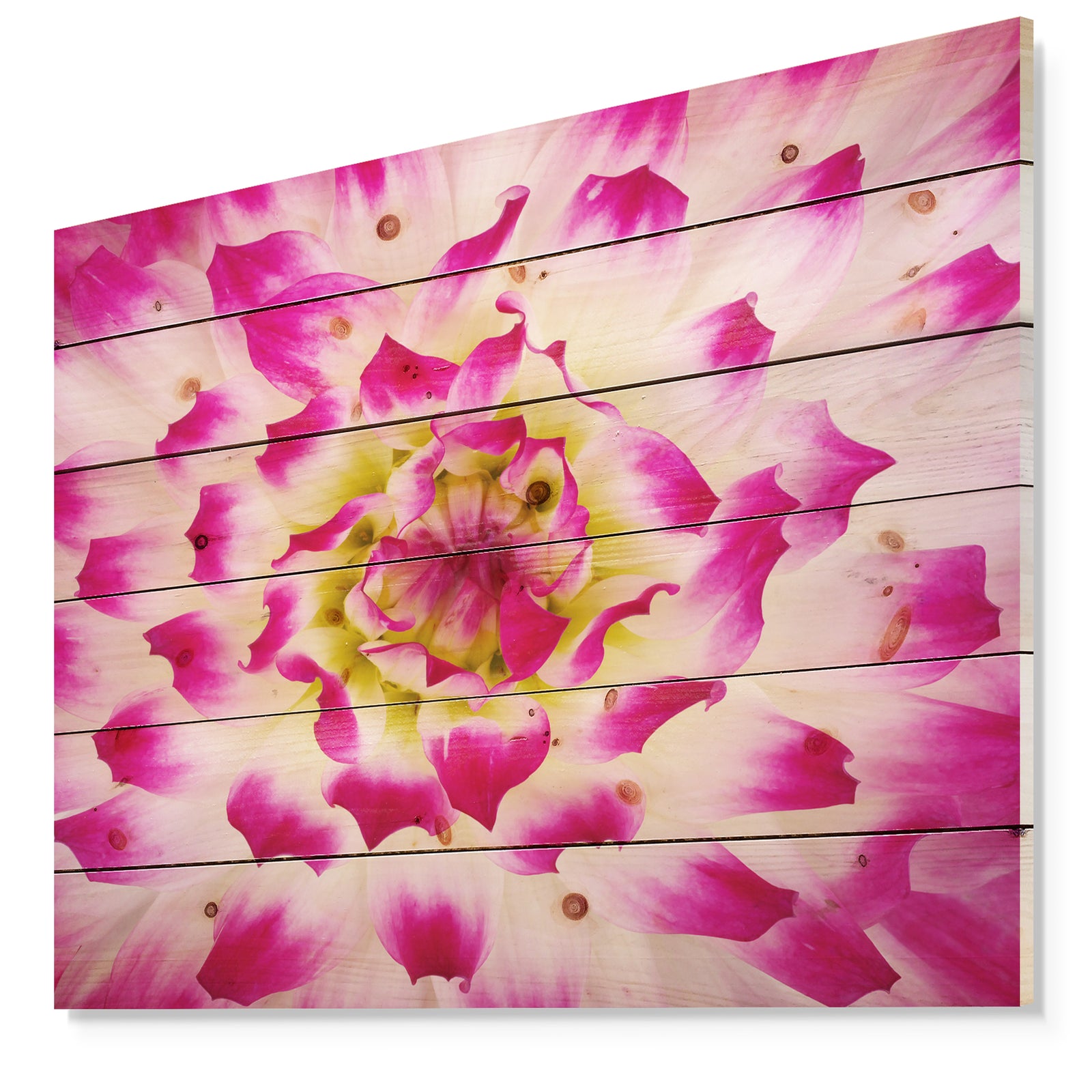 Smooth White Rose Flower Petals - Floral Print on Natural Pine Wood