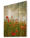 Red Poppy Flowers in Green Field - Floral Print on Natural Pine Wood