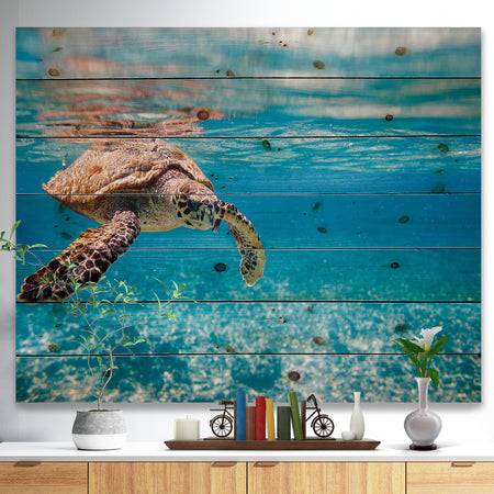 Large Hawksbill Sea Turtle - Abstract Print on Natural Pine Wood