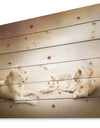 White Lion Family - Animal Print on Natural Pine Wood