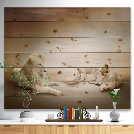 White Lion Family - Animal Print on Natural Pine Wood