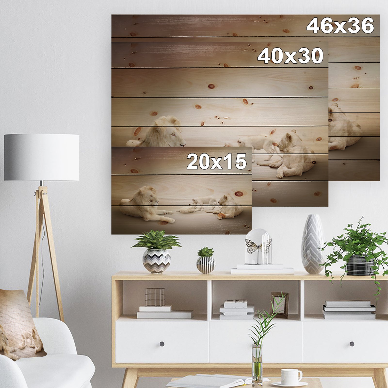 White Lion Family - Animal Print on Natural Pine Wood