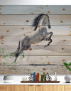 Galloping White Horse - Animal Print on Natural Pine Wood