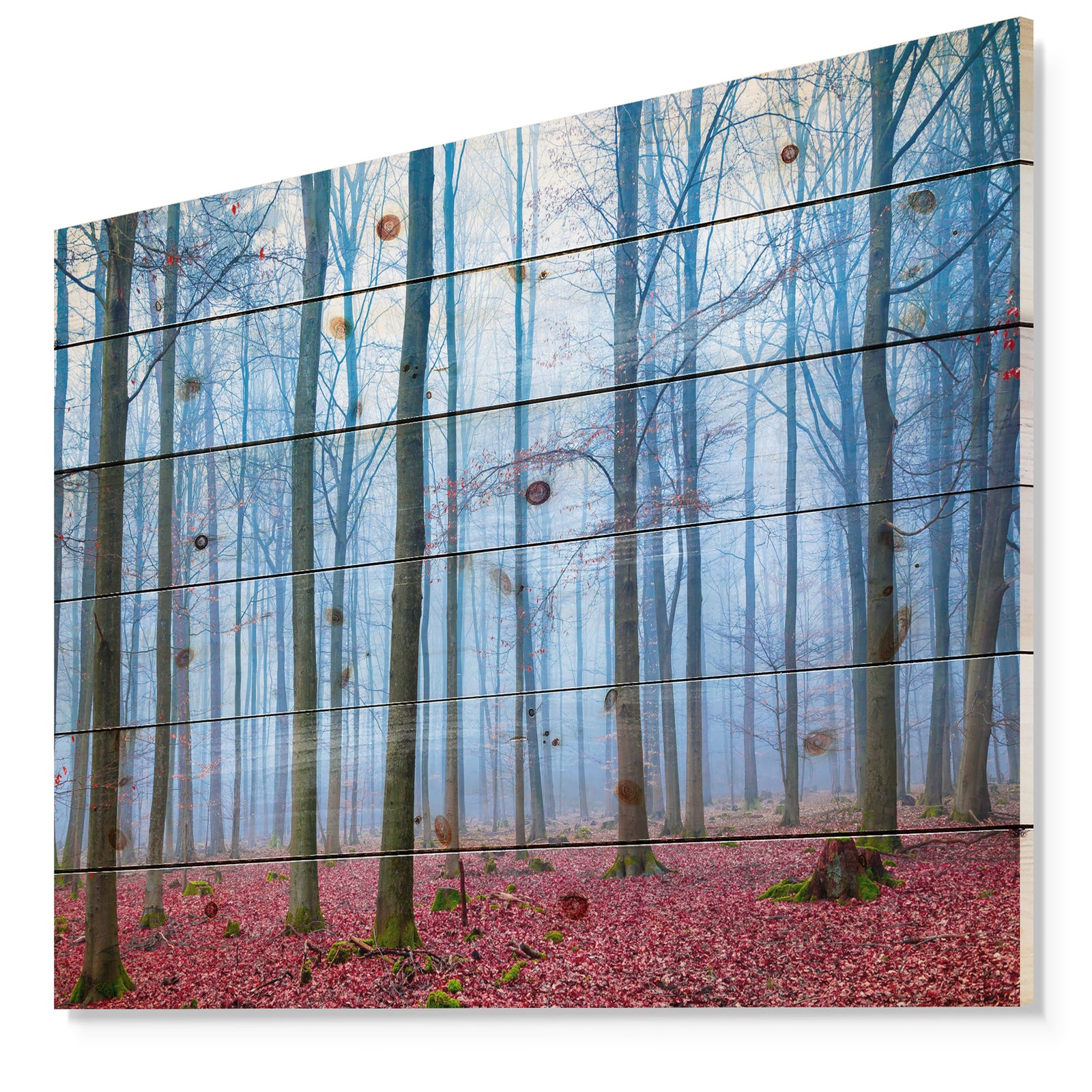 Foggy Forest in Blue and Pink Photo - Modern Forest Print on Natural Pine Wood