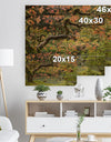 Japanese Garden Fall Season - Landscape Print on Natural Pine Wood