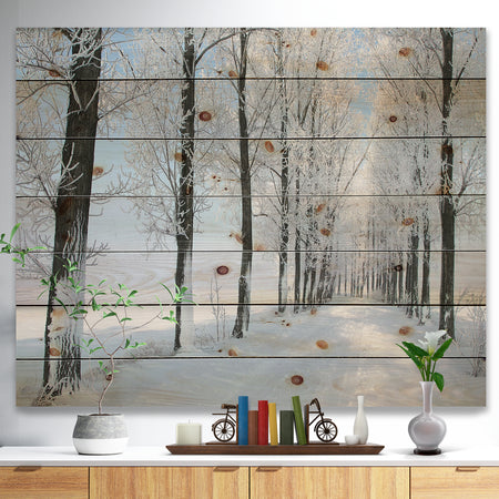 Beautiful Winter Forest Lane Photo - Forest Print on Natural Pine Wood