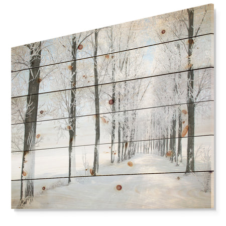 Beautiful Winter Forest Lane Photo - Forest Print on Natural Pine Wood