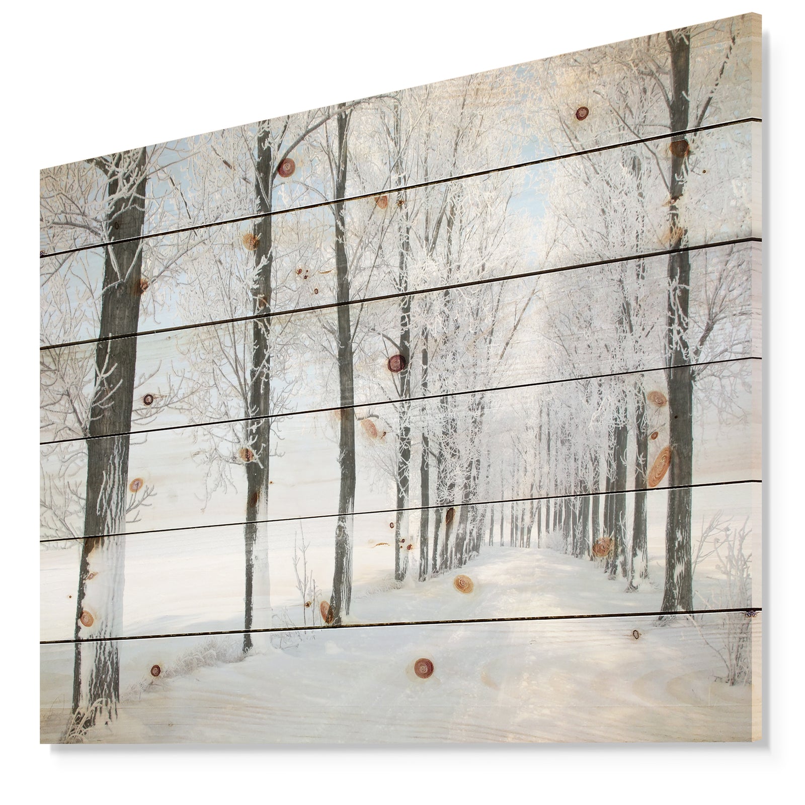 Beautiful Winter Forest Lane Photo - Forest Print on Natural Pine Wood