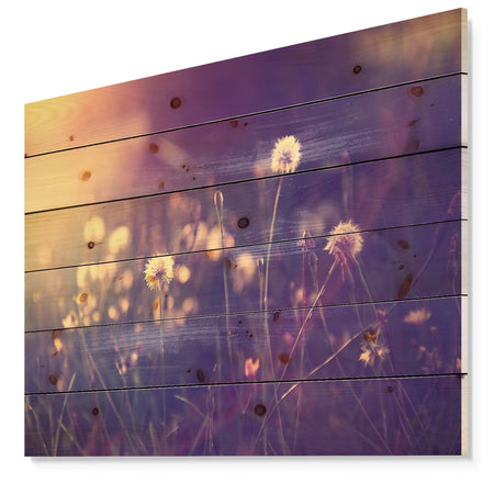 Vintage Dandelion Meadow Photo - Floral Print on Natural Pine Wood