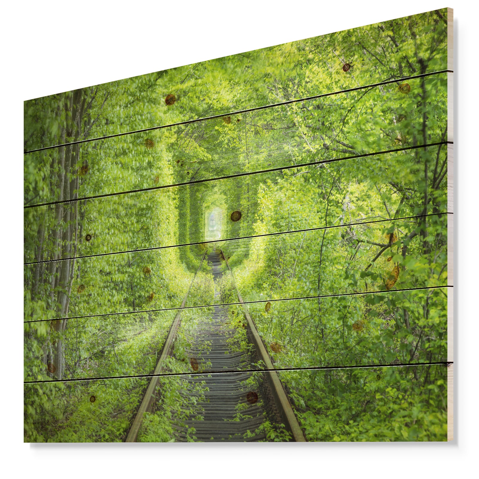 Forest around Rail Way Tunnel - Landscape Print on Natural Pine Wood