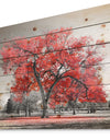 Big Red Tree on Foggy Day - Landscape Print on Natural Pine Wood