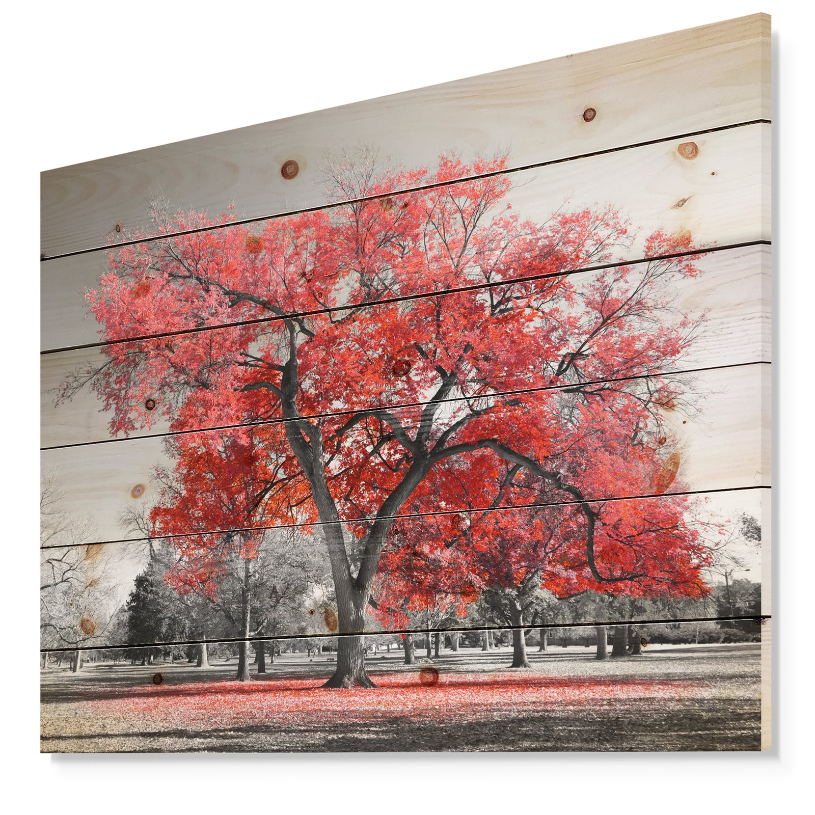 Big Red Tree on Foggy Day - Landscape Print on Natural Pine Wood