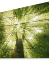 Sunlight Peeking through Green Tree - Landscape Print on Natural Pine Wood