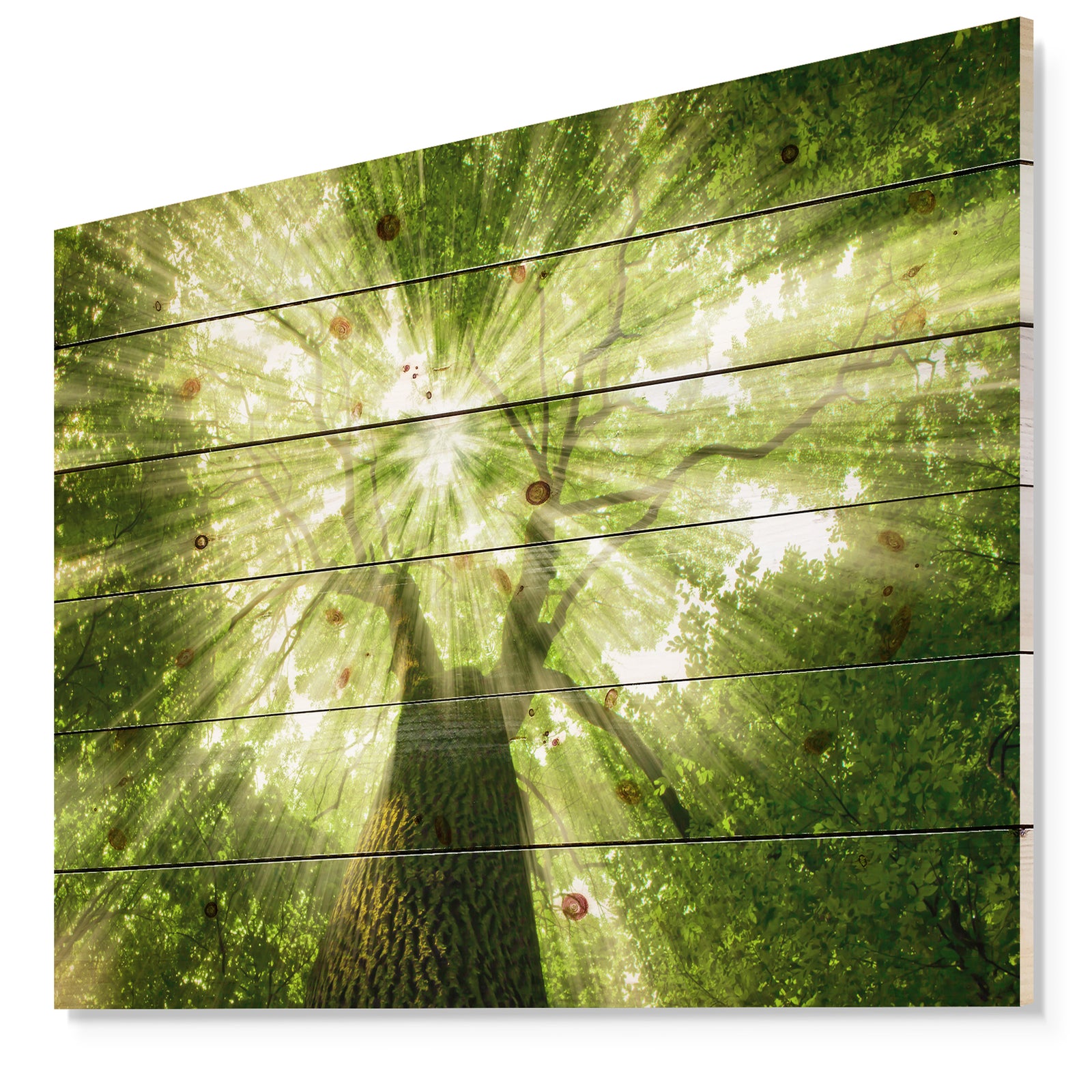 Sunlight Peeking through Green Tree - Landscape Print on Natural Pine Wood
