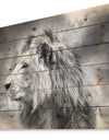 Grey Wild African Lion - Animal Print on Natural Pine Wood
