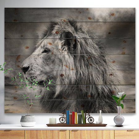 Grey Wild African Lion - Animal Print on Natural Pine Wood