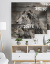 Grey Wild African Lion - Animal Print on Natural Pine Wood