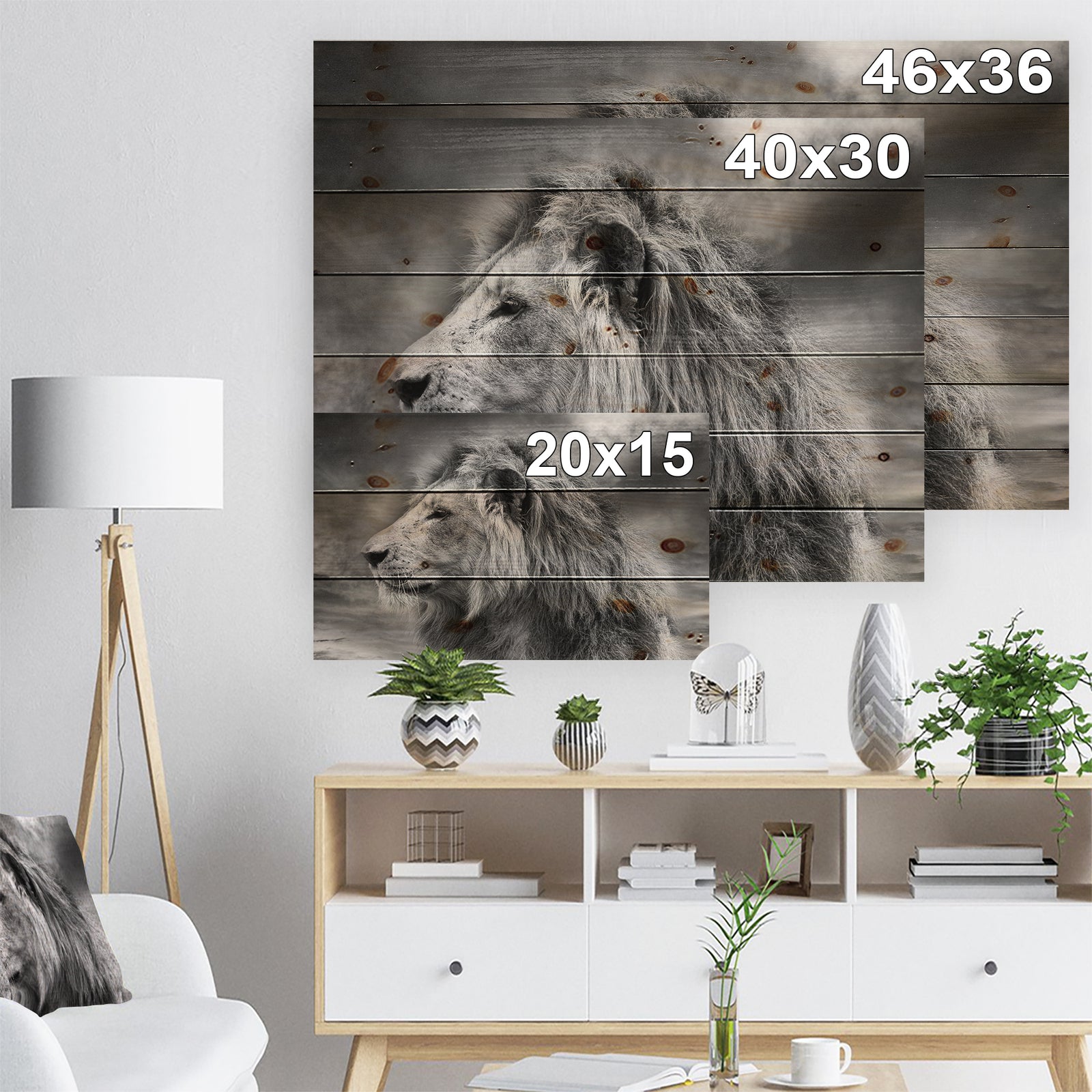Grey Wild African Lion - Animal Print on Natural Pine Wood