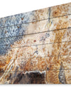 China Moss Agate - Stone Photographic Print on Natural Pine Wood