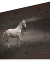 Gray Horse - Farmhouse Animals Photographic Print on Natural Pine Wood