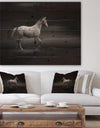 Gray Horse - Farmhouse Animals Photographic Print on Natural Pine Wood