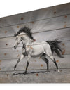 Chestnut horse in motion - Farmhouse Animals Photographic Print on Natural Pine Wood