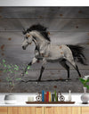 Chestnut horse in motion - Farmhouse Animals Photographic Print on Natural Pine Wood