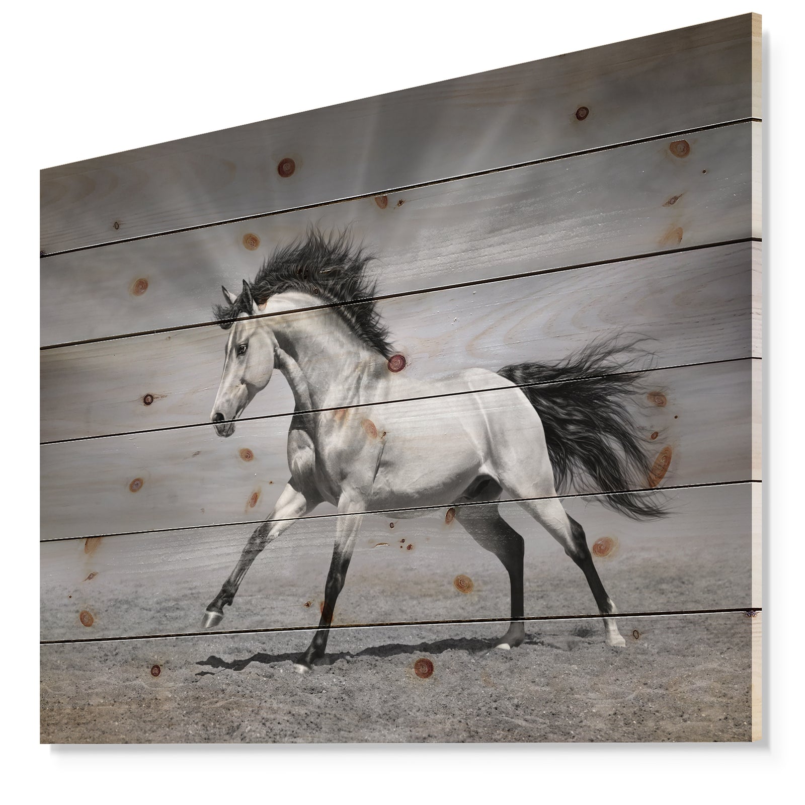 Chestnut horse in motion - Farmhouse Animals Photographic Print on Natural Pine Wood
