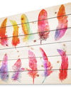 Bright Colorful Feather Set - Animals Painting Print on Natural Pine Wood