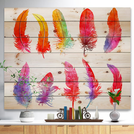 Bright Colorful Feather Set - Animals Painting Print on Natural Pine Wood