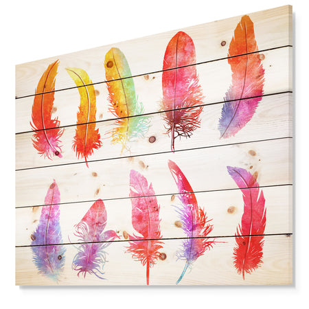 Bright Colorful Feather Set - Animals Painting Print on Natural Pine Wood