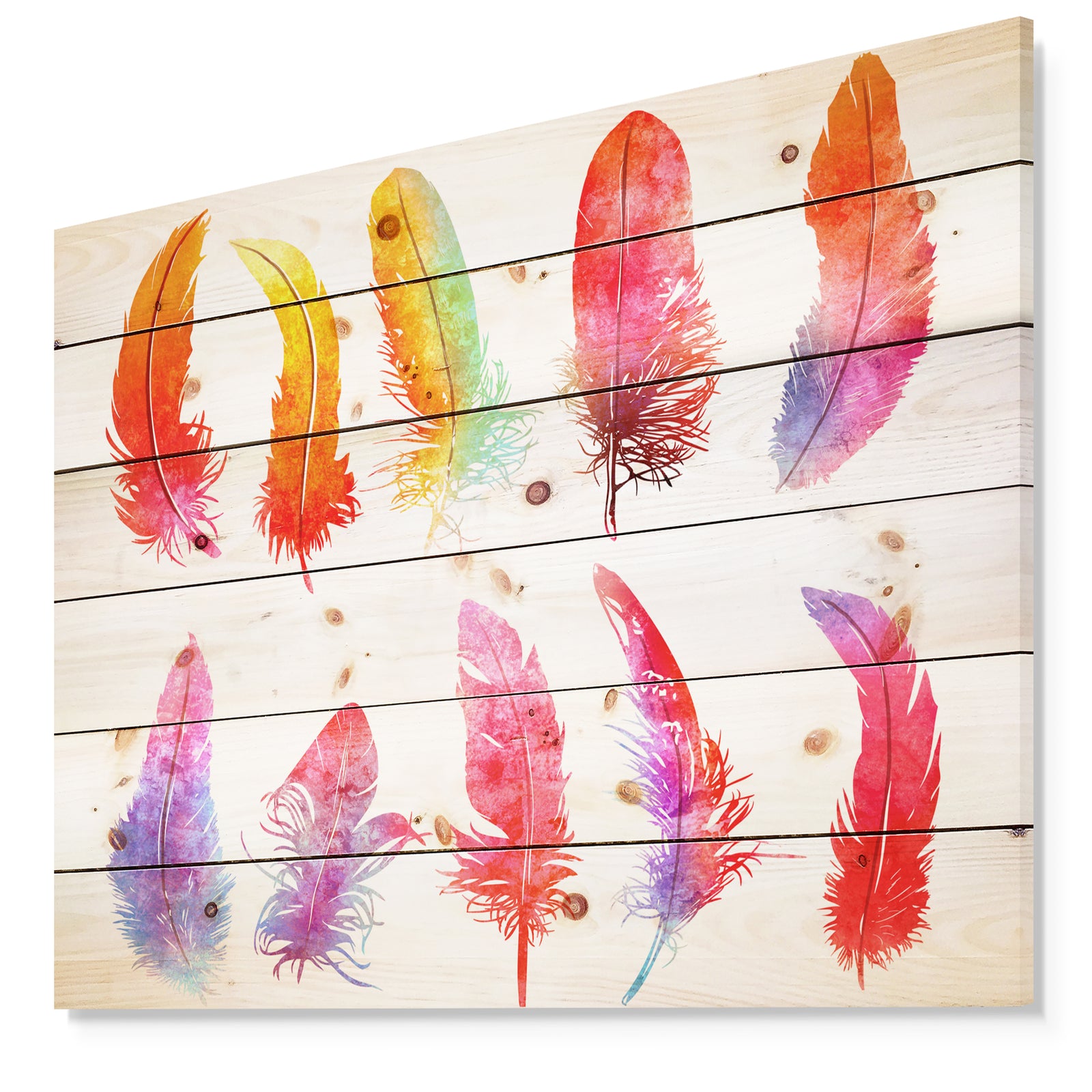 Bright Colorful Feather Set - Animals Painting Print on Natural Pine Wood