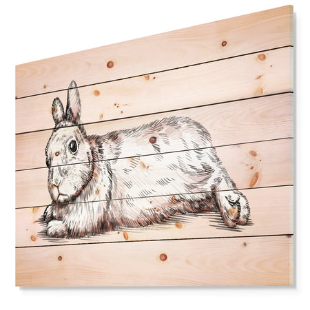 Brush painting ink draw isolated rabbit illustration - Farmhouse Animal Painting Print on Natural Pine Wood