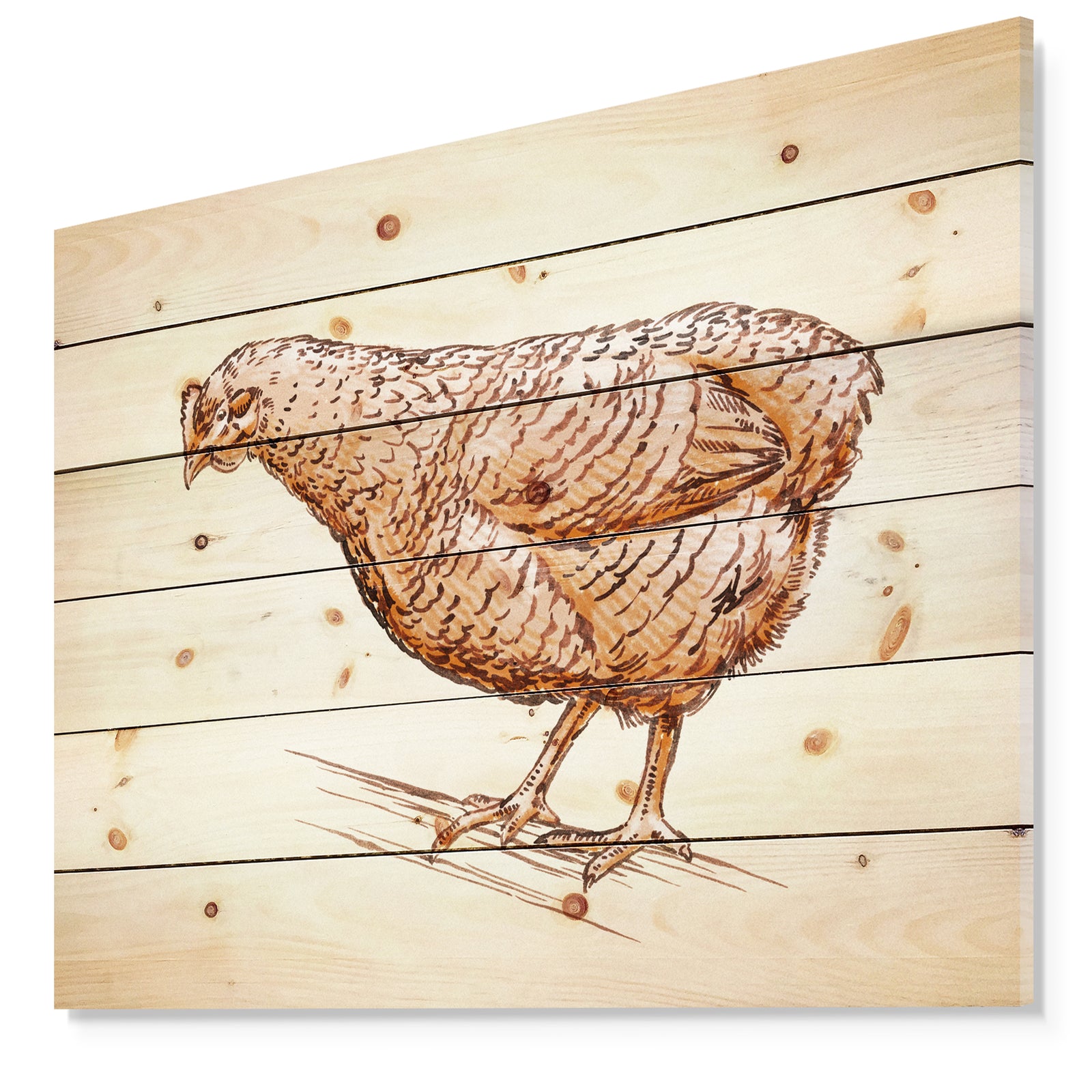 Mother Hen in Engrave Ink Draw - Farmhouse Animal Painting Print on Natural Pine Wood