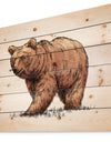 Color engrave isolated grizzly bear - Animals Painting Print on Natural Pine Wood